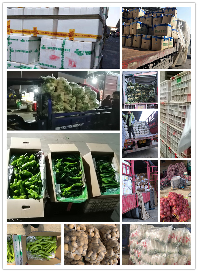 必发7790(中国区)电子集团-线上平台登录入口