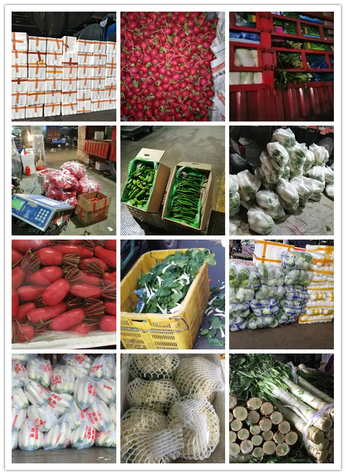 必发7790(中国区)电子集团-线上平台登录入口