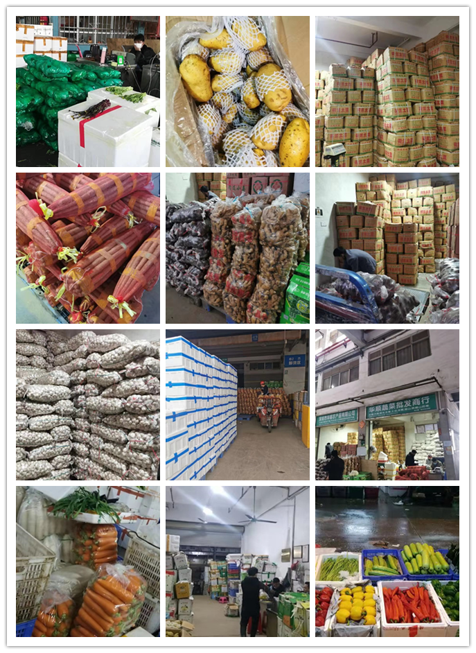 必发7790(中国区)电子集团-线上平台登录入口