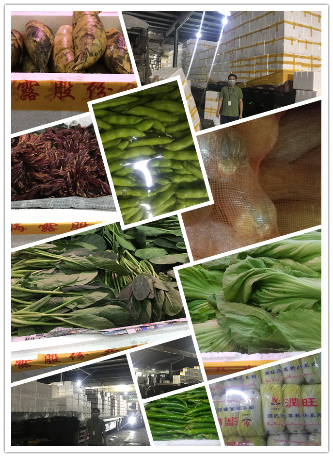 必发7790(中国区)电子集团-线上平台登录入口