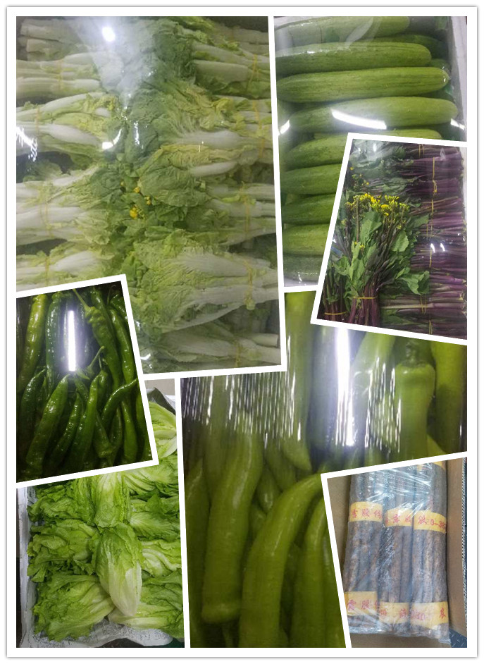 必发7790(中国区)电子集团-线上平台登录入口