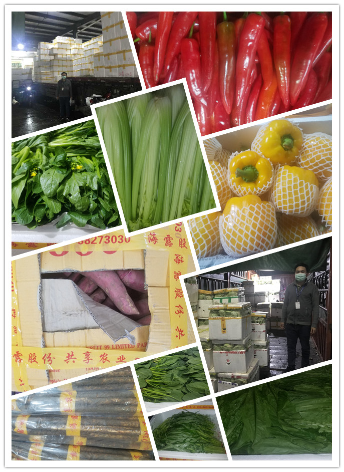 必发7790(中国区)电子集团-线上平台登录入口