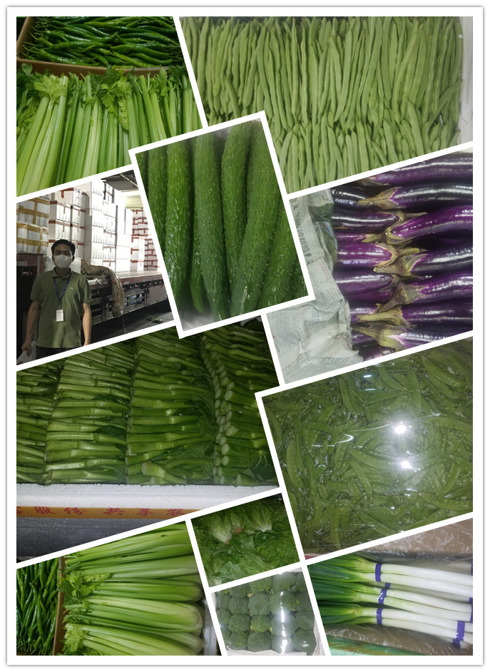 必发7790(中国区)电子集团-线上平台登录入口