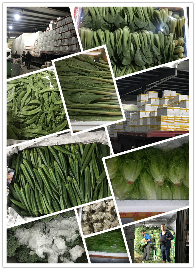 必发7790(中国区)电子集团-线上平台登录入口