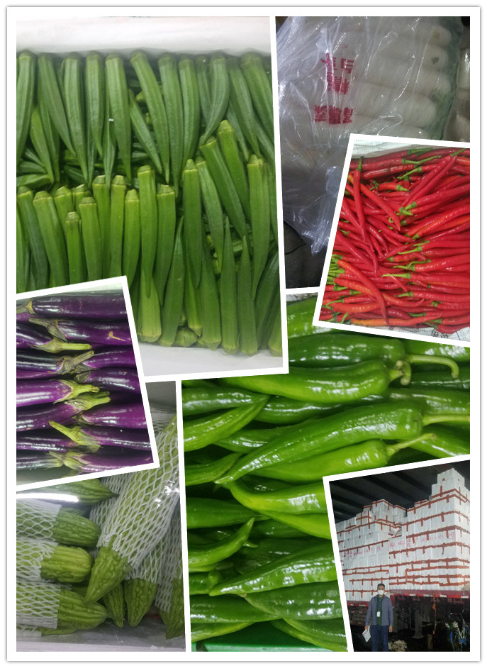 必发7790(中国区)电子集团-线上平台登录入口