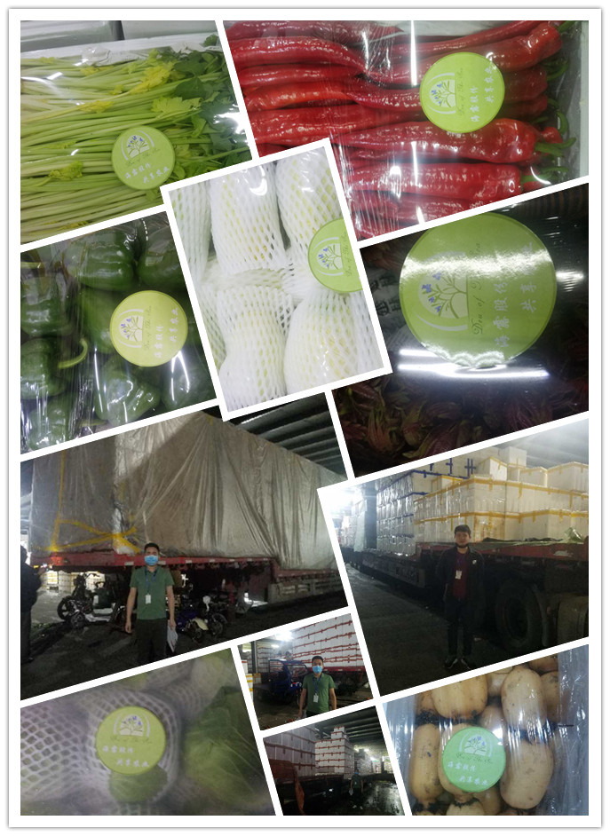 必发7790(中国区)电子集团-线上平台登录入口