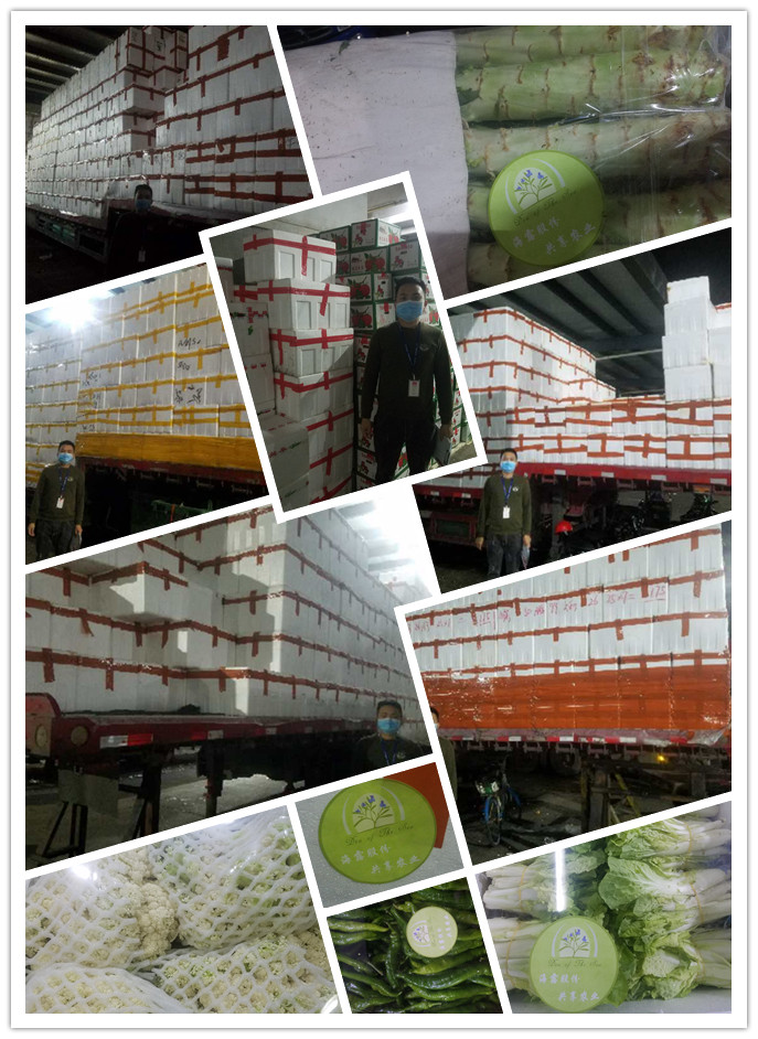 必发7790(中国区)电子集团-线上平台登录入口