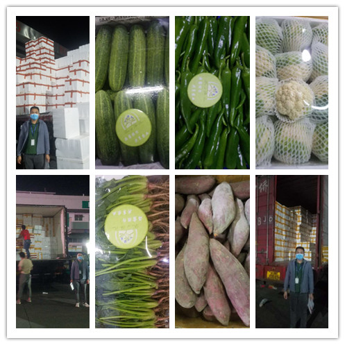 必发7790(中国区)电子集团-线上平台登录入口