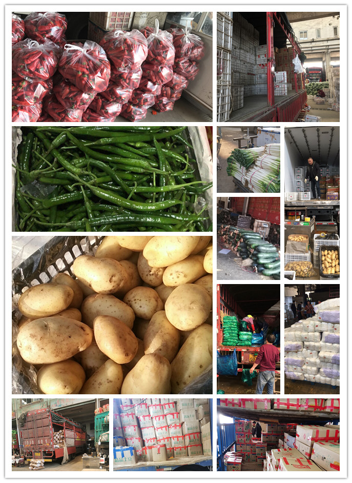 必发7790(中国区)电子集团-线上平台登录入口