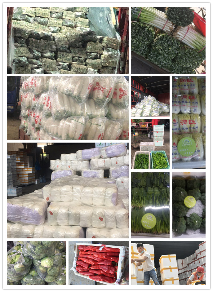 必发7790(中国区)电子集团-线上平台登录入口