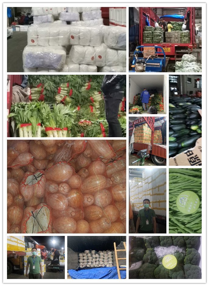 必发7790(中国区)电子集团-线上平台登录入口