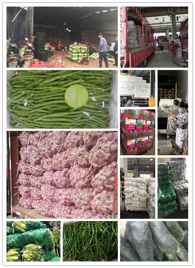 必发7790(中国区)电子集团-线上平台登录入口