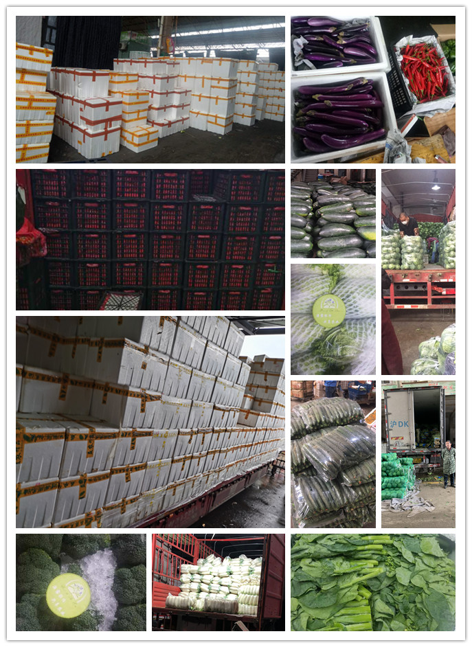 必发7790(中国区)电子集团-线上平台登录入口