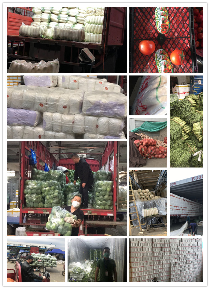 必发7790(中国区)电子集团-线上平台登录入口