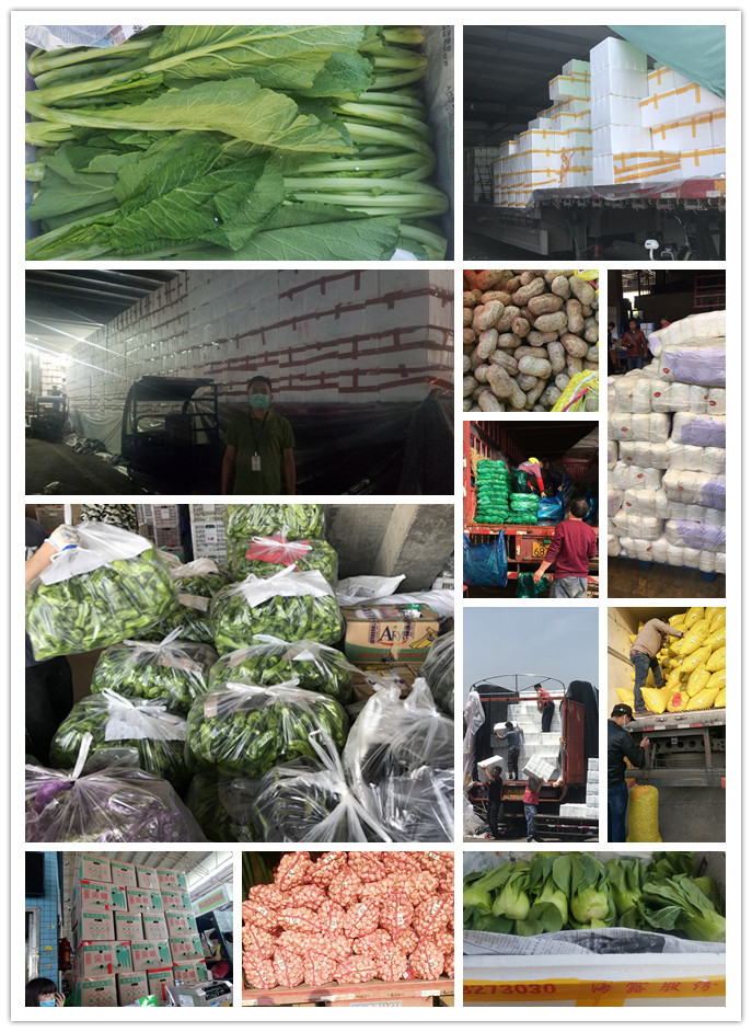 必发7790(中国区)电子集团-线上平台登录入口