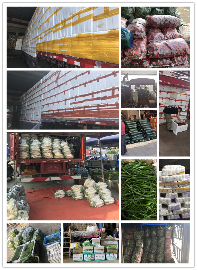 必发7790(中国区)电子集团-线上平台登录入口