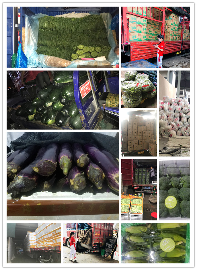 必发7790(中国区)电子集团-线上平台登录入口