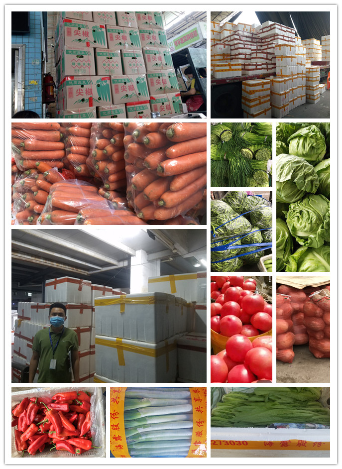 必发7790(中国区)电子集团-线上平台登录入口