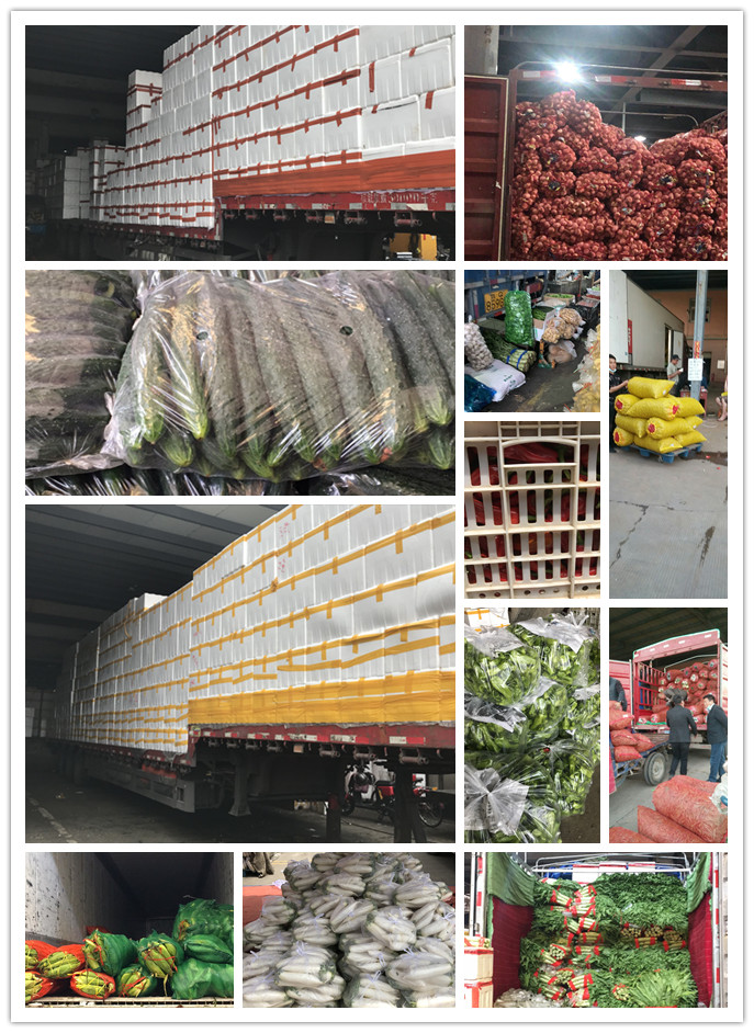 必发7790(中国区)电子集团-线上平台登录入口