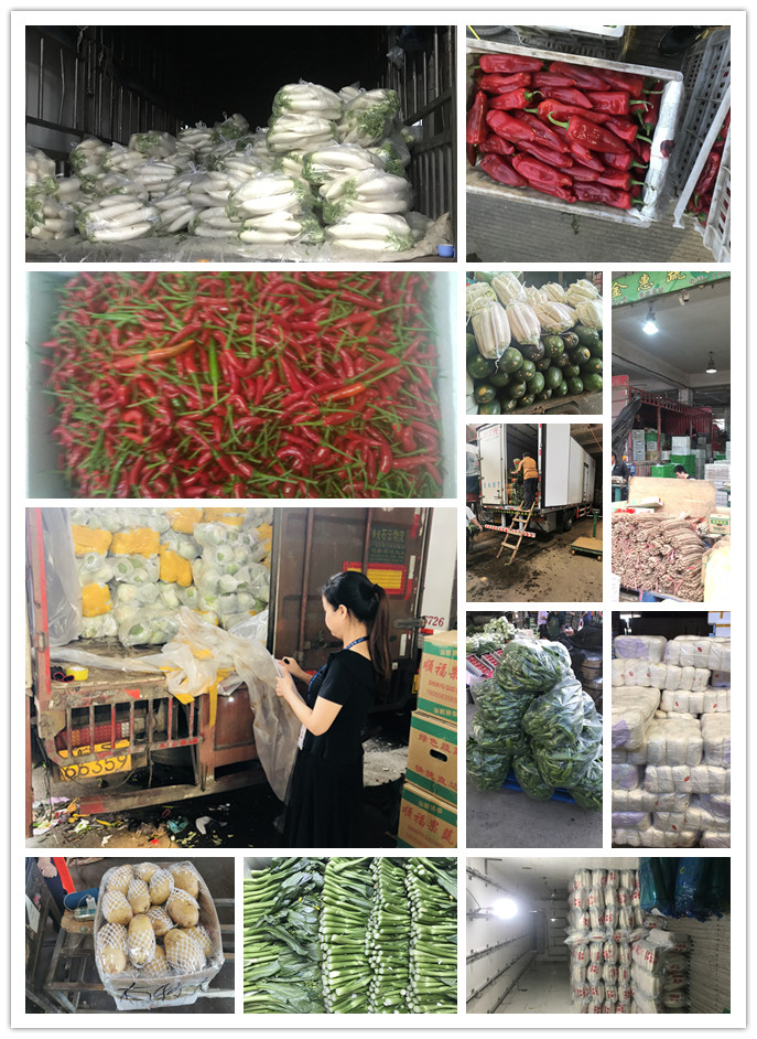 必发7790(中国区)电子集团-线上平台登录入口