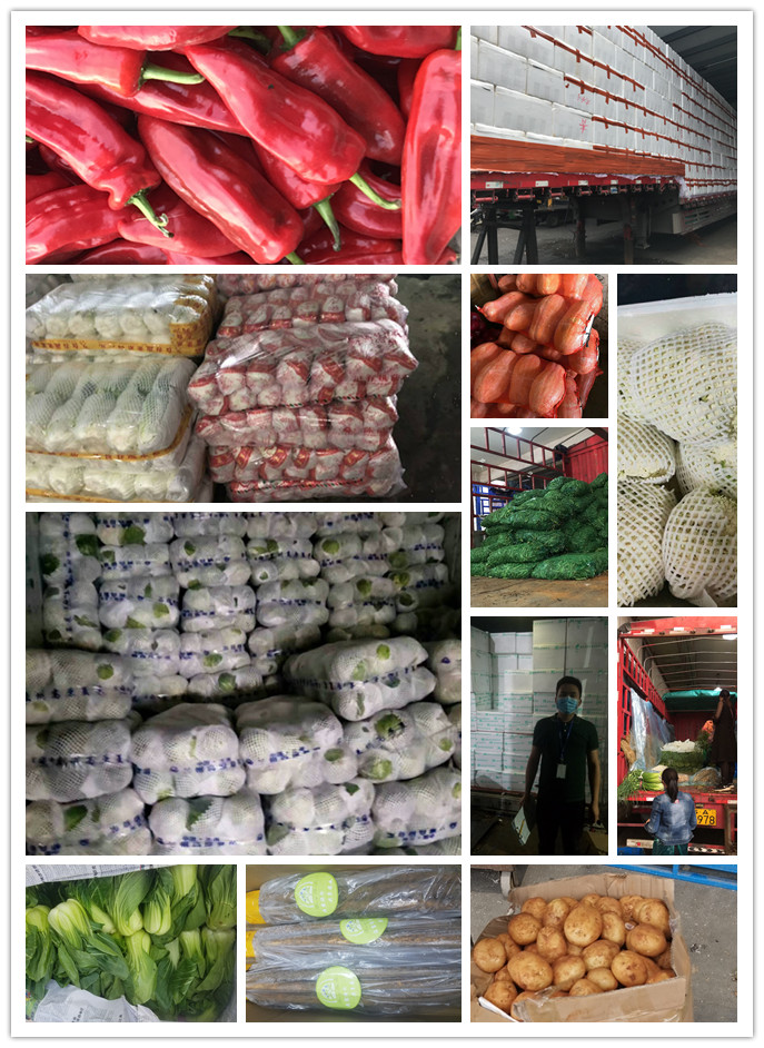 必发7790(中国区)电子集团-线上平台登录入口