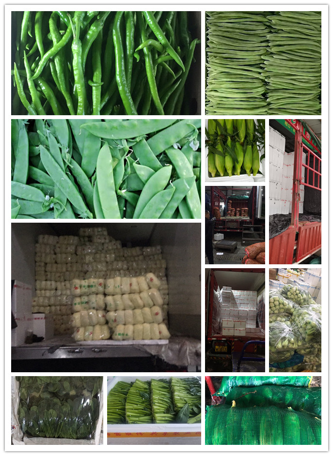 必发7790(中国区)电子集团-线上平台登录入口