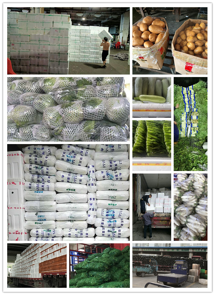 必发7790(中国区)电子集团-线上平台登录入口