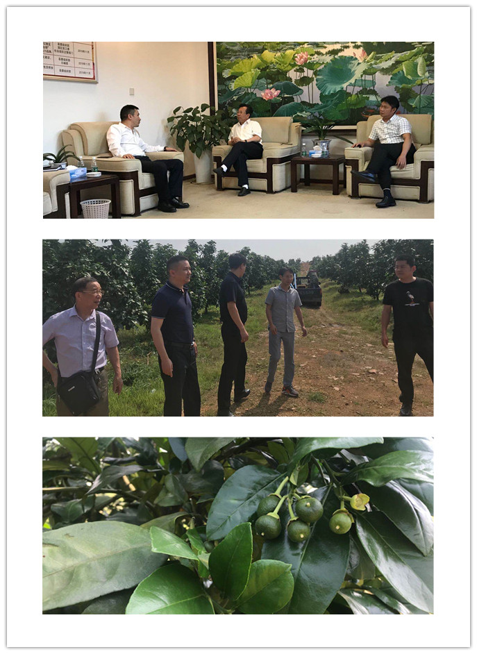 必发7790(中国区)电子集团-线上平台登录入口