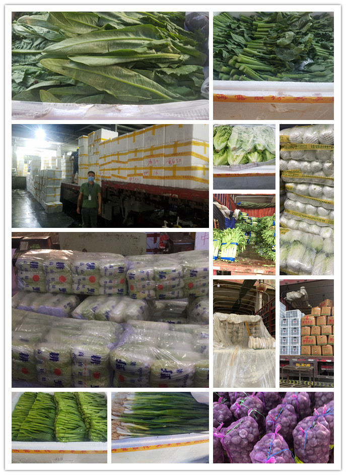 必发7790(中国区)电子集团-线上平台登录入口