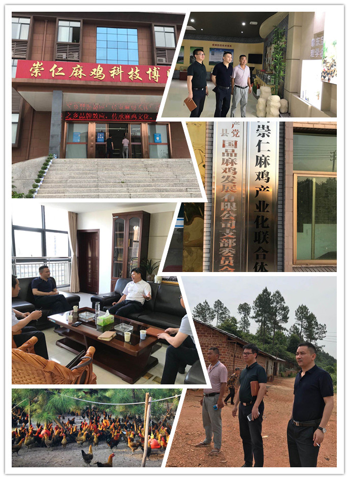 必发7790(中国区)电子集团-线上平台登录入口