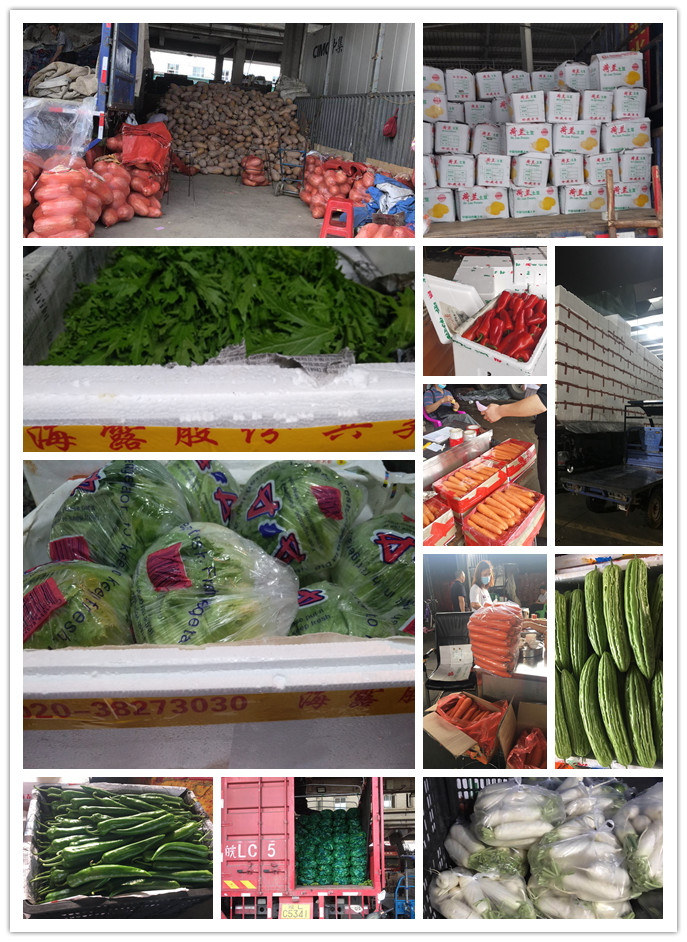 必发7790(中国区)电子集团-线上平台登录入口