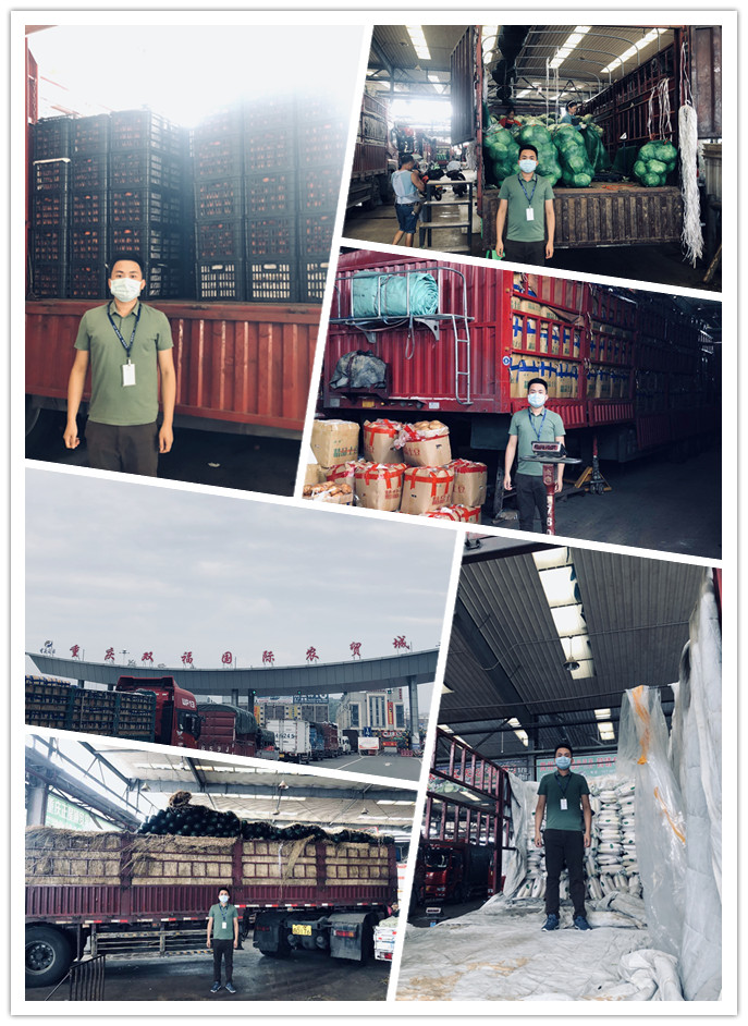 必发7790(中国区)电子集团-线上平台登录入口