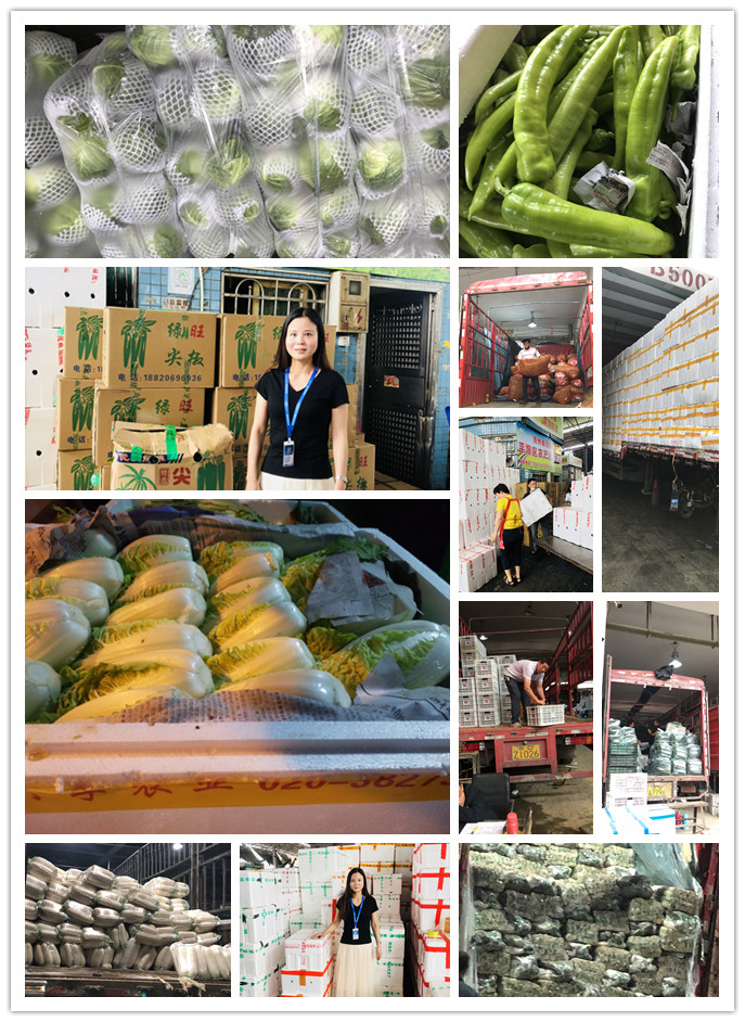 必发7790(中国区)电子集团-线上平台登录入口