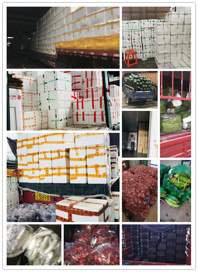 必发7790(中国区)电子集团-线上平台登录入口