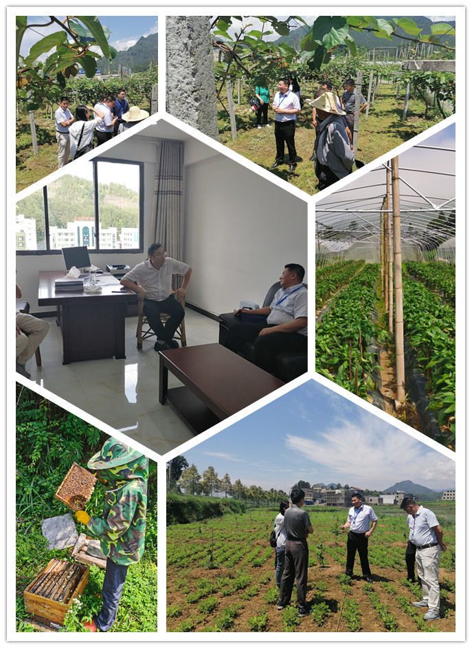 必发7790(中国区)电子集团-线上平台登录入口