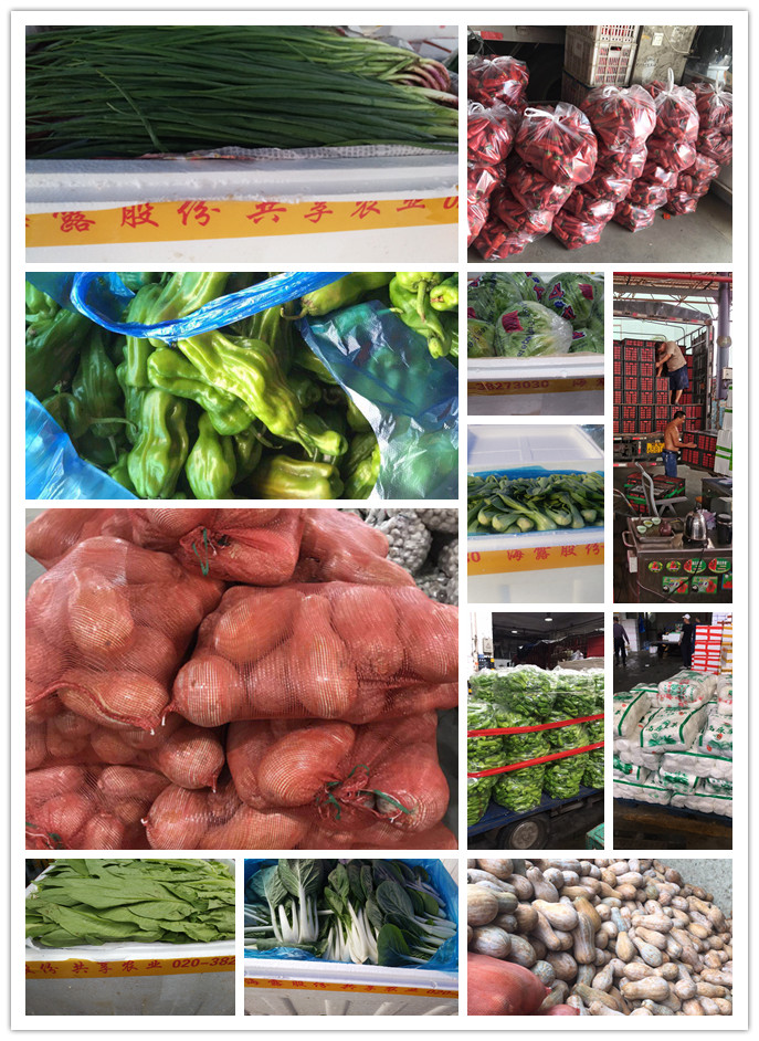 必发7790(中国区)电子集团-线上平台登录入口