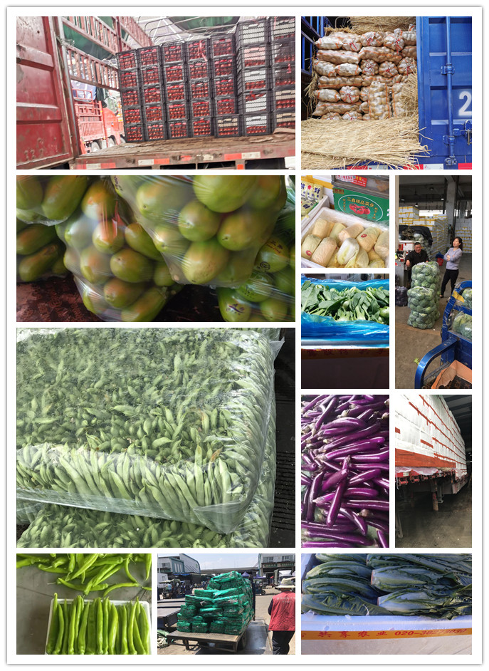 必发7790(中国区)电子集团-线上平台登录入口