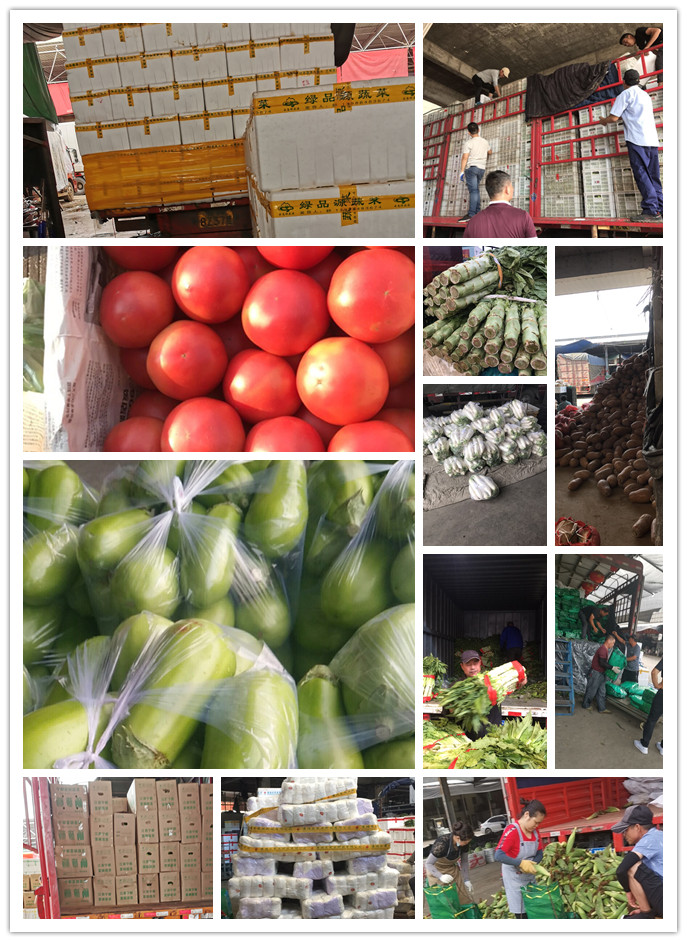 必发7790(中国区)电子集团-线上平台登录入口