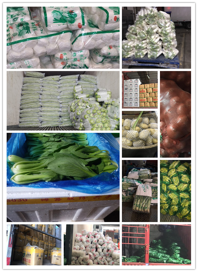 必发7790(中国区)电子集团-线上平台登录入口