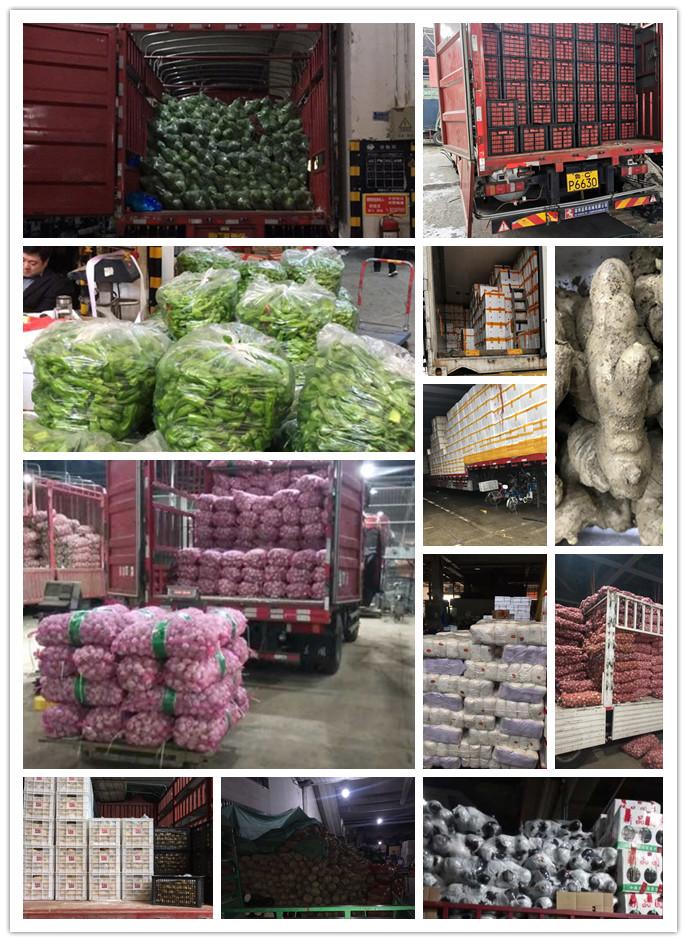 必发7790(中国区)电子集团-线上平台登录入口