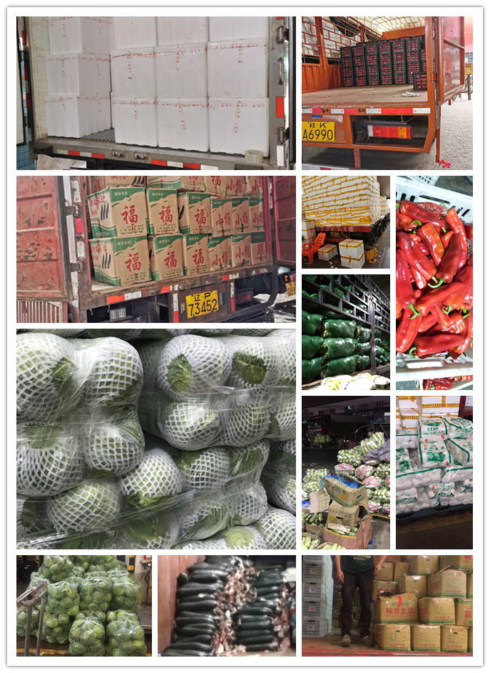 必发7790(中国区)电子集团-线上平台登录入口