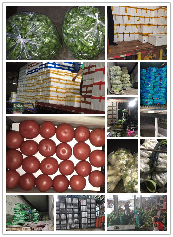 必发7790(中国区)电子集团-线上平台登录入口