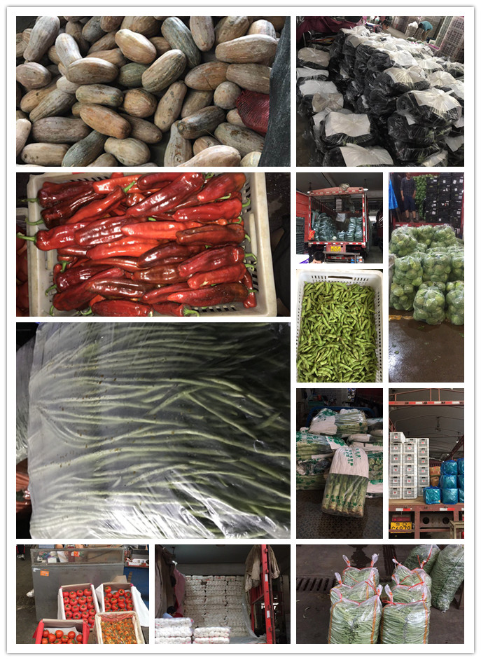 必发7790(中国区)电子集团-线上平台登录入口