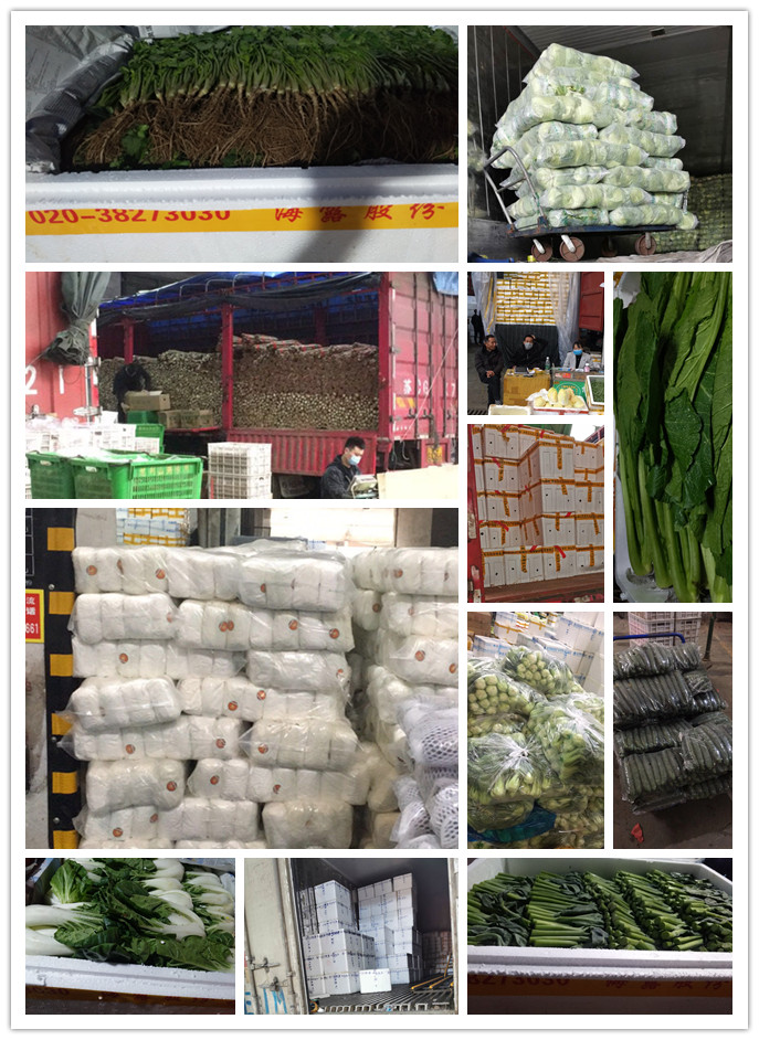 必发7790(中国区)电子集团-线上平台登录入口