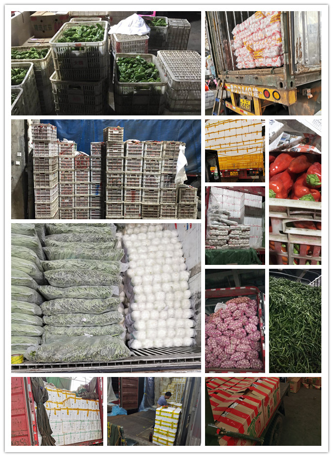 必发7790(中国区)电子集团-线上平台登录入口