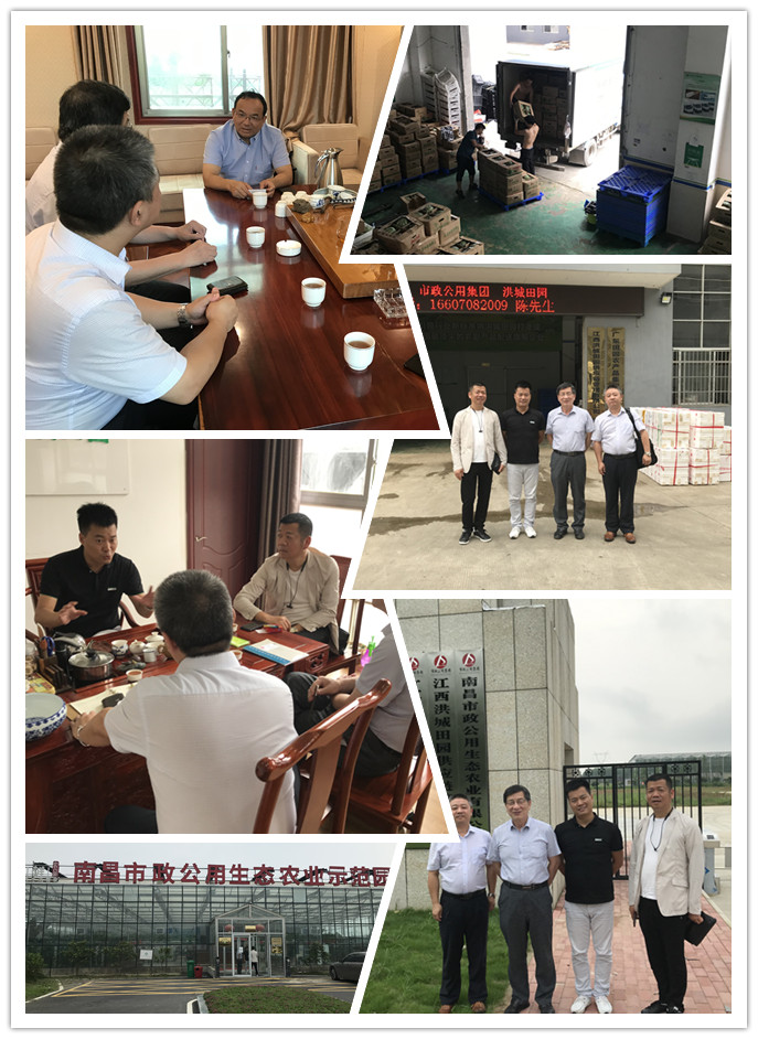 必发7790(中国区)电子集团-线上平台登录入口