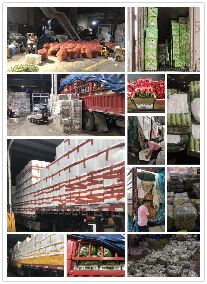 必发7790(中国区)电子集团-线上平台登录入口