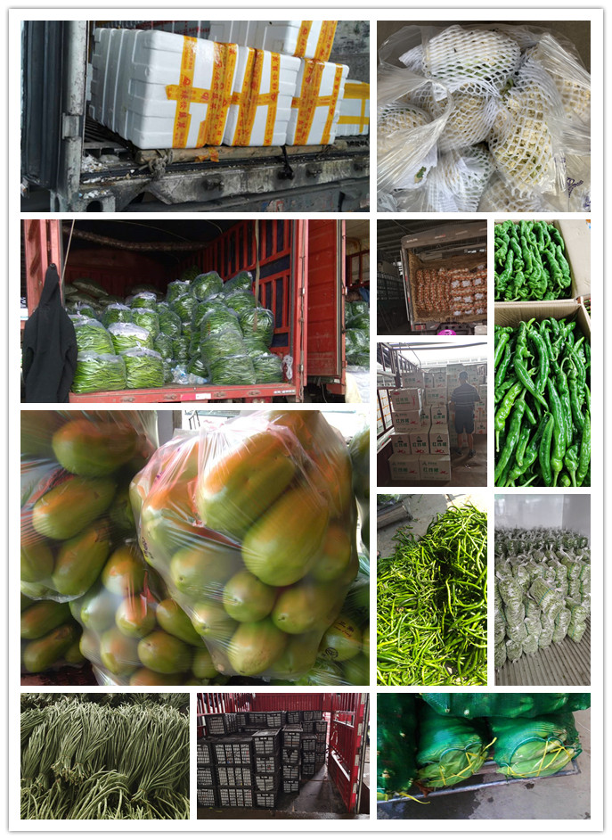 必发7790(中国区)电子集团-线上平台登录入口