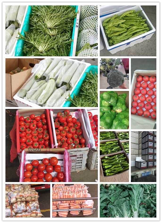 必发7790(中国区)电子集团-线上平台登录入口