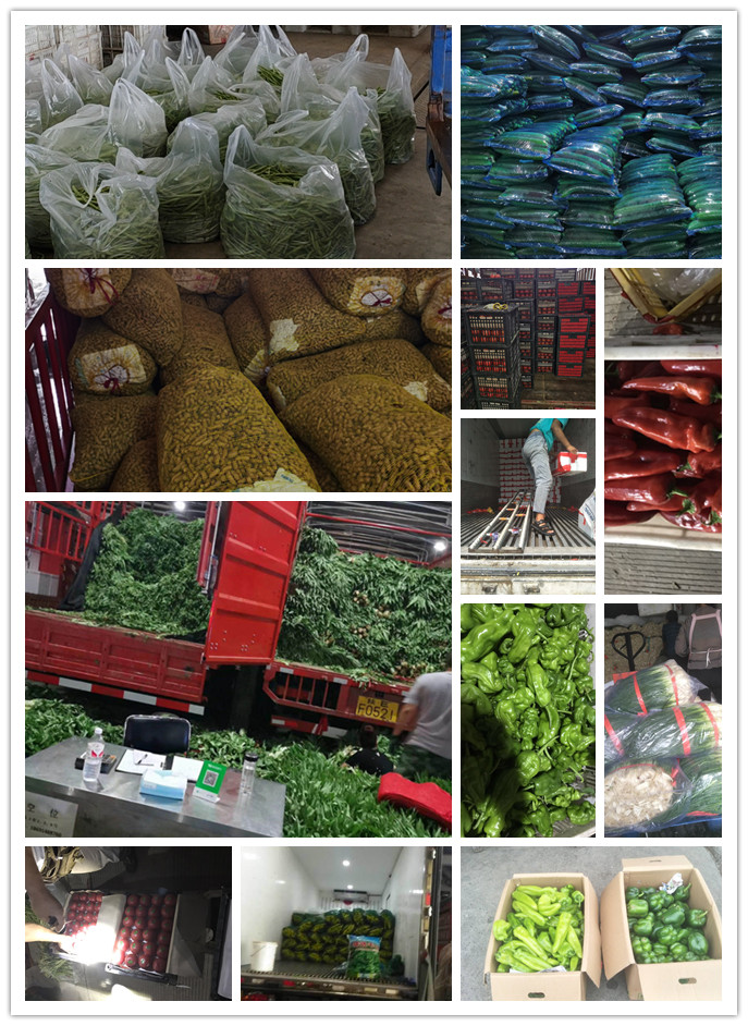 必发7790(中国区)电子集团-线上平台登录入口